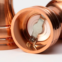 Набор мельниц для соли и перца Доляна, 10&times;5&times;10 см, 2 шт, цвет бронзовый