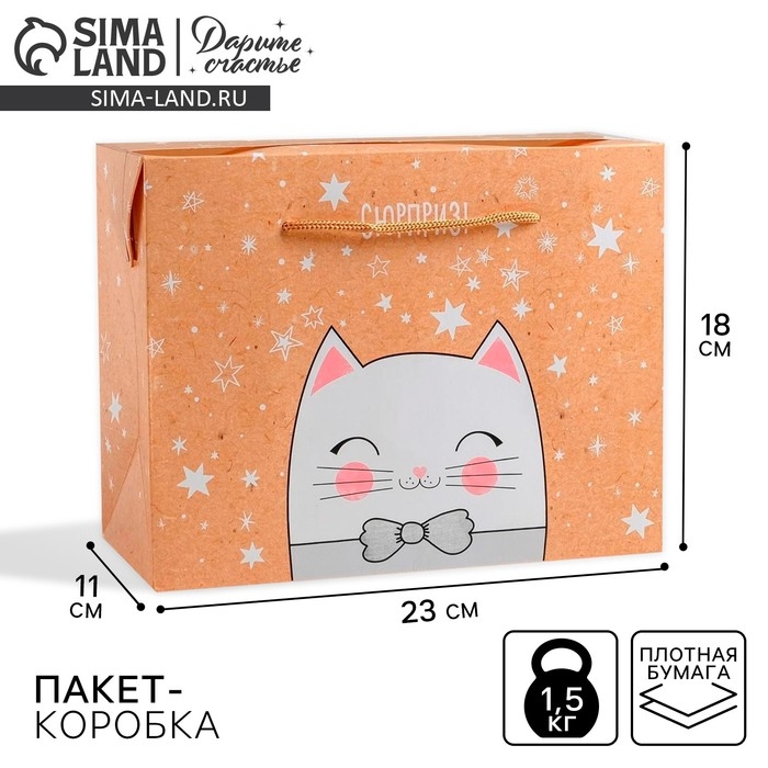 Пакет&mdash;коробка &laquo;Сюрприз!&raquo;, 23 х18 х11 см