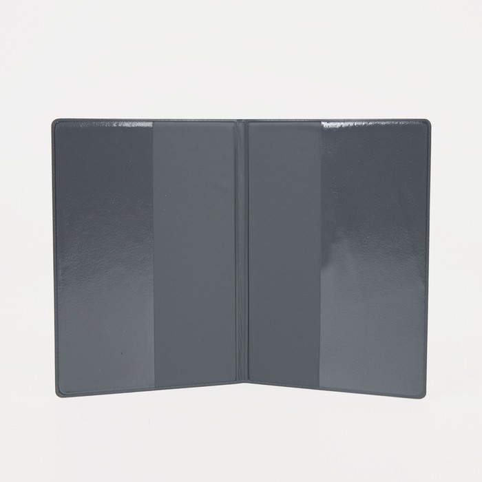 Обложка для паспорта, цвет синий