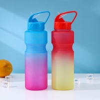 Бутылка с трубочкой Доляна «Градиент», 700 мл, 25×7×8 см, цвет МИКС Бутылка с трубочкой Доляна «Градиент», 700 мл, 25×7×8 см, цвет МИКС