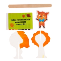 Набор для опытов &laquo;Осенние опыты&raquo;, 8 опытов, в пакете