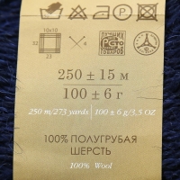 Пряжа "Деревенская" 100% полугрубая шерсть 250м/100гр (04-темно-синий) Пряжа "Деревенская" 100% полугрубая шерсть 250м/100гр (04-темно-синий)