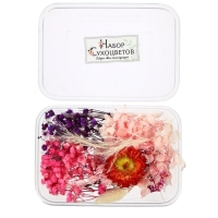 Набор для творчества «Набор сухоцветов», большой, розовый, красный, фиолетовый Набор для творчества «Набор сухоцветов», большой, розовый, красный, фиолетовый