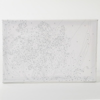 Картина по номерам с подрамником и гирляндой &laquo;Пионы&raquo;, 20 х 30 см