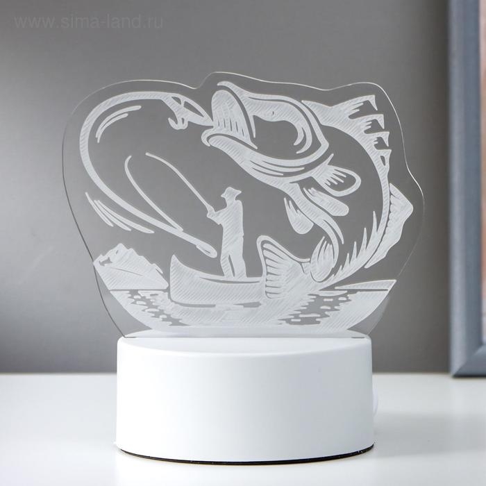 Светильник "Рыбак" LED RGB от сети 9,5х13,5х15 см RISALUX
