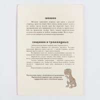 Настольные игры 2 в 1 "Диношашки": шашки, хищники и травоядные, d-2.2 см, 31.2 х 31.2 см Настольные игры 2 в 1 "Диношашки": шашки, хищники и травоядные, d-2.2 см, 31.2 х 31.2 см