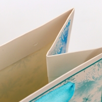 Новый год. Пакет подарочный новогодний под бутылку &laquo;Мороз&raquo;, 13 x 36 x 10 см.