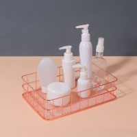 Органайзер для хранения косметических принадлежностей «РАФАЭЛЬ», 24,5 × 16,5 × 6,5 см, цвет бронзовый Органайзер для хранения косметических принадлежностей «РАФАЭЛЬ», 24,5 × 16,5 × 6,5 см, цвет бронзовый