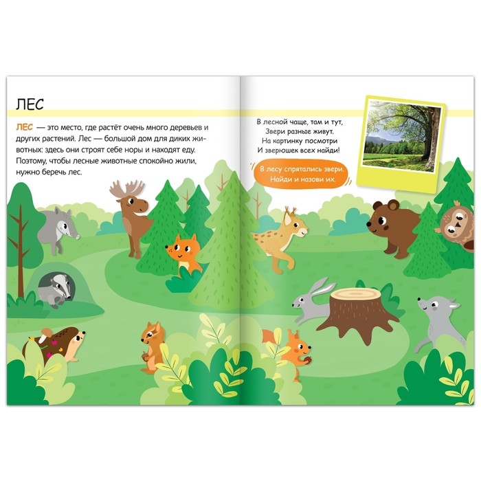 Набор 3 в 1 «Жители леса»: 12 пазлов, книга с наклейками, раскраска Набор 3 в 1 «Жители леса»: 12 пазлов, книга с наклейками, раскраска