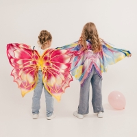 Карнавальные крылья на резинках «Чудесная фея», 80 × 100 см Карнавальные крылья на резинках «Чудесная фея», 80 × 100 см