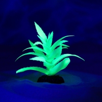 Растение искусственное аквариумное, светящееся, 10 см, зелёное Растение искусственное аквариумное, светящееся, 10 см, зелёное