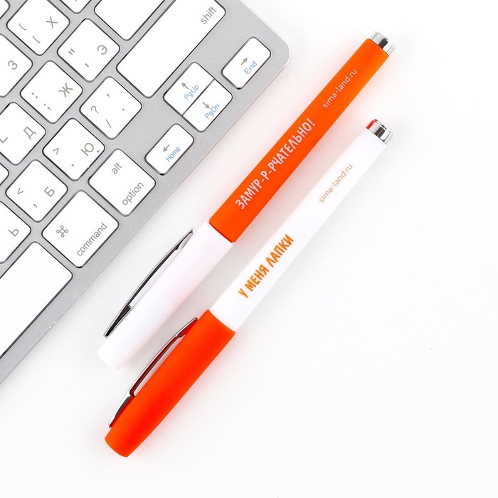 Ручка прикол гелевая черная паста &laquo;Я бы написал поэму, но у меня лапки&raquo;, 2 шт.