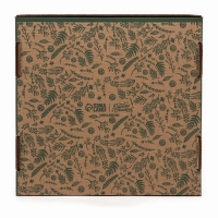 Коробка складная «Ботаника», 24 х 24 х 12 см Коробка складная «Ботаника», 24 х 24 х 12 см