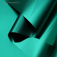 Пленка для цветов "Глянец", зеленый, 58 см х 5 м Пленка для цветов "Глянец", зеленый, 58 см х 5 м