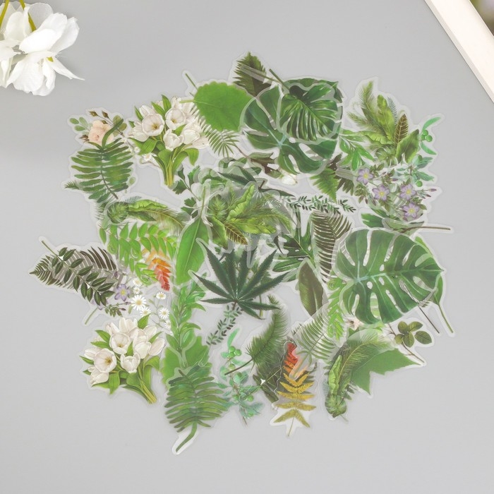 Наклейки для творчества пластик PVC "Зеленые листья" набор 60 шт 10х14 см