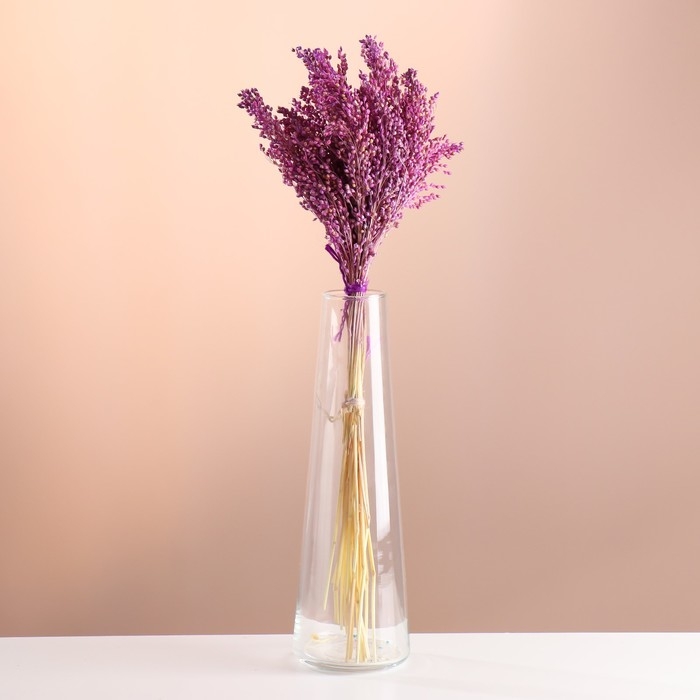 Набор сухоцветов Набор сухоцветов "Просо", банч длина 45 (+/- 6 см), сиреневый