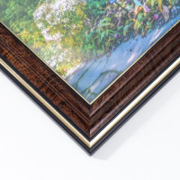 Фоторамка 30х40 (282Р) темный орех с золотом (пластиковый экран)