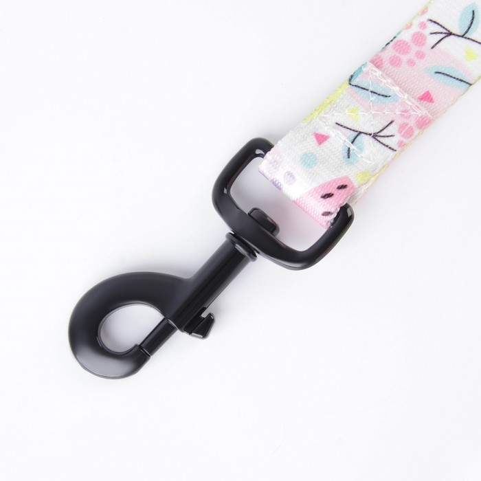 Поводок &laquo;Сочное настроение&raquo;, 2.5 см, 2 м