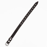 Ошейник комбинированный кожа/брезент, безразмерный, 54 х 2.5 см, ОШ 17-45 см, чёрный Ошейник комбинированный кожа/брезент, безразмерный, 54 х 2.5 см, ОШ 17-45 см, чёрный