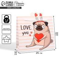 Пакет подарочный, упаковка, &laquo;Love you&raquo;, 25 х 26 х 10 см