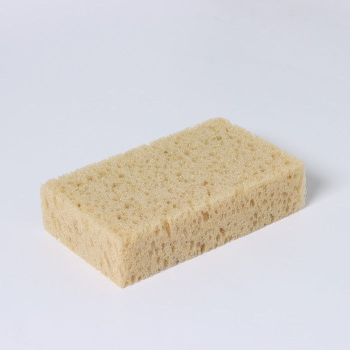Губка для тела мягкая «Губка морская», 20×11,5×5 см Губка для тела мягкая «Губка морская», 20×11,5×5 см