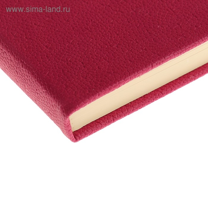 Ежедневник недатированный А6, 120 листов в линейку, обложка пвх, МИКС Ежедневник недатированный А6, 120 листов в линейку, обложка пвх, МИКС