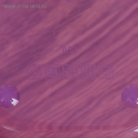 Ланч-бокс &laquo;Орхидеи&raquo;, 500 мл