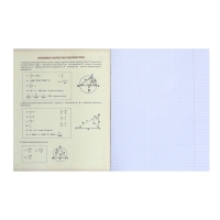 Тетрадь предметная Calligrata "Мрамор светлый", 48 листов в клетку Геометрия, со справочным материалом, обложка мелованный картон, УФ-лак, блок офсет Тетрадь предметная Calligrata "Мрамор светлый", 48 листов в клетку Геометрия, со справочным материалом, обложка мелованный картон, УФ-лак, блок офсет