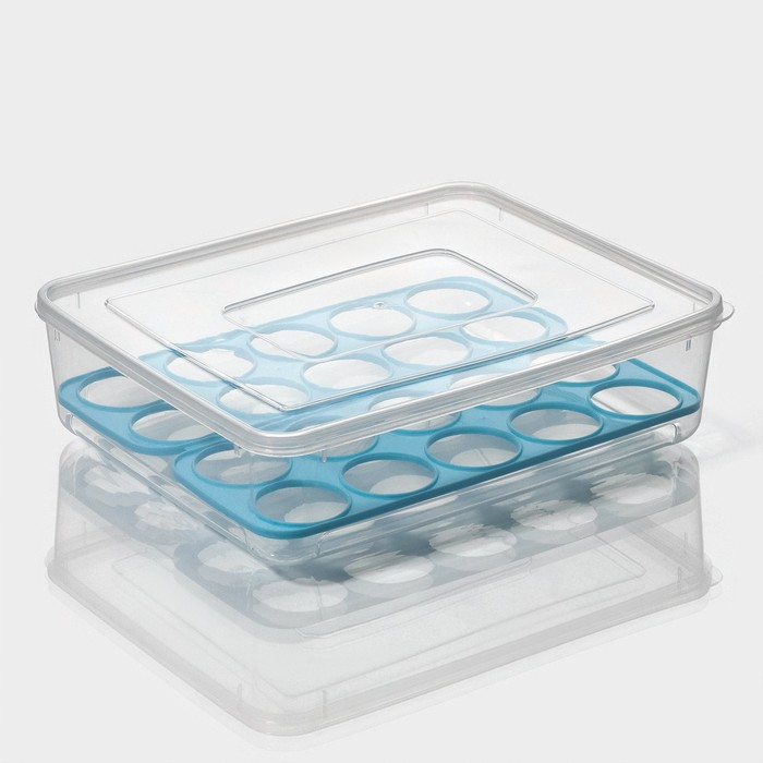 Контейнер для хранения яиц Доляна, 20 ячеек, 27,5×22×7 см, цвет МИКС Контейнер для хранения яиц Доляна, 20 ячеек, 27,5×22×7 см, цвет МИКС