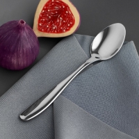 Ложка чайная из нержавеющей стали, длина 15 см, 201 сталь, цвет серебряный Ложка чайная из нержавеющей стали, длина 15 см, 201 сталь, цвет серебряный