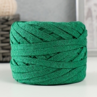 Трикотажная пряжа "Риббон" с люрексом 85м/170&plusmn;5 гр (Нефрит, люрекс: Зеленый)
