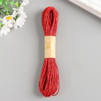 Тесьма декоративная бумага "Люрекс" намотка 10 метров набор 12 шт МИКС 21х14х2 см Тесьма декоративная бумага "Люрекс" намотка 10 метров набор 12 шт МИКС 21х14х2 см