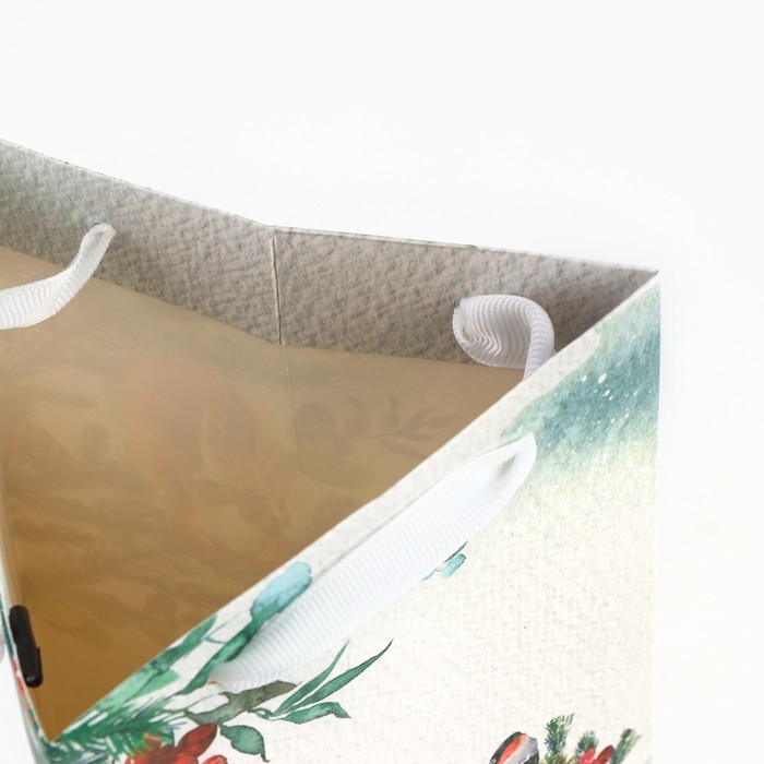 Пакет под бутылку, треугольный &laquo;Чудо&raquo;, 13 х 32 х 11.3 см, Новый год