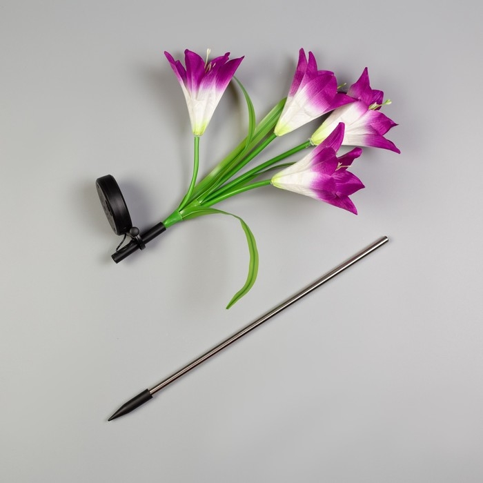 Садовый светильник на солнечной батарее «Лилия фиолетовая», 80 см, 4 LED, свечение мульти (RGB) Садовый светильник на солнечной батарее «Лилия фиолетовая», 80 см, 4 LED, свечение мульти (RGB)