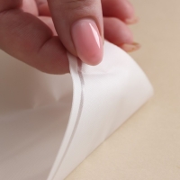 Набор кондитерский Доляна, 11 предметов: 10 насадок, мешок, цвет МИКС