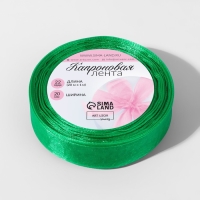 Лента капроновая, 20 мм, 20 ± 1 м, цвет зелёный №19 Лента капроновая, 20 мм, 20 ± 1 м, цвет зелёный №19