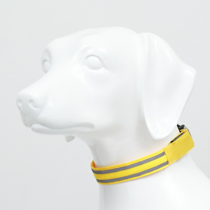 Ошейник с подсветкой Двойная полоса размер XL, ОШ 52-60 х 2,5 см 3 режима свечения жёлтый