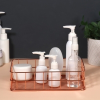 Органайзер для хранения косметических принадлежностей «РАФАЭЛЬ», 24,5 × 16,5 × 6,5 см, цвет бронзовый Органайзер для хранения косметических принадлежностей «РАФАЭЛЬ», 24,5 × 16,5 × 6,5 см, цвет бронзовый