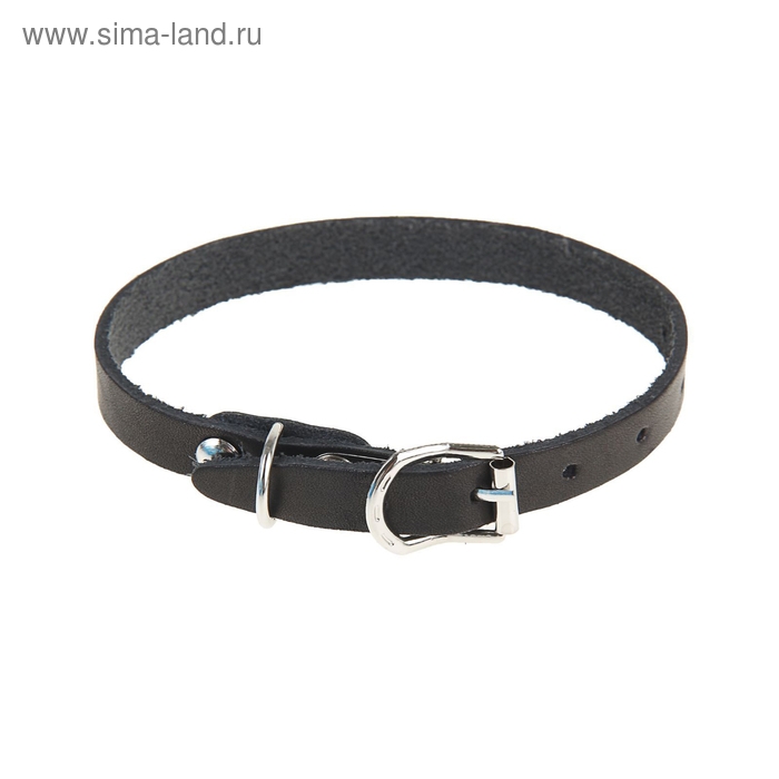 Ошейник кожаный однослойный, 30 х 1 см, ОШ 19-27 см, черный