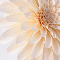 Бумага для упаковки и поделок, гофрированная, белоснежная, однотонная, двусторонняя, рулон 1шт., 0,5 х 2,5 м Бумага для упаковки и поделок, гофрированная, белоснежная, однотонная, двусторонняя, рулон 1шт., 0,5 х 2,5 м