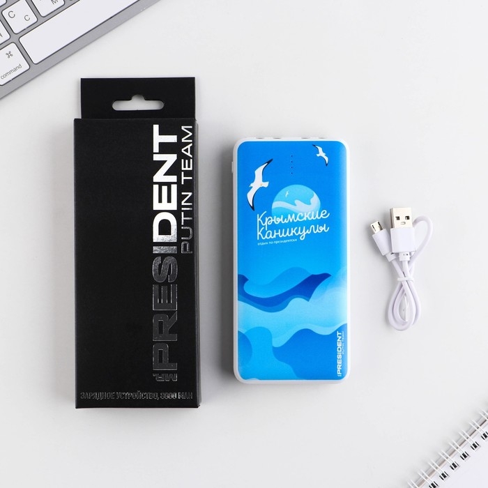 Зарядное устройство &laquo;Крымские каникулы&raquo;, 8000мА,модель PB-23, 14,5 х 6,9 см