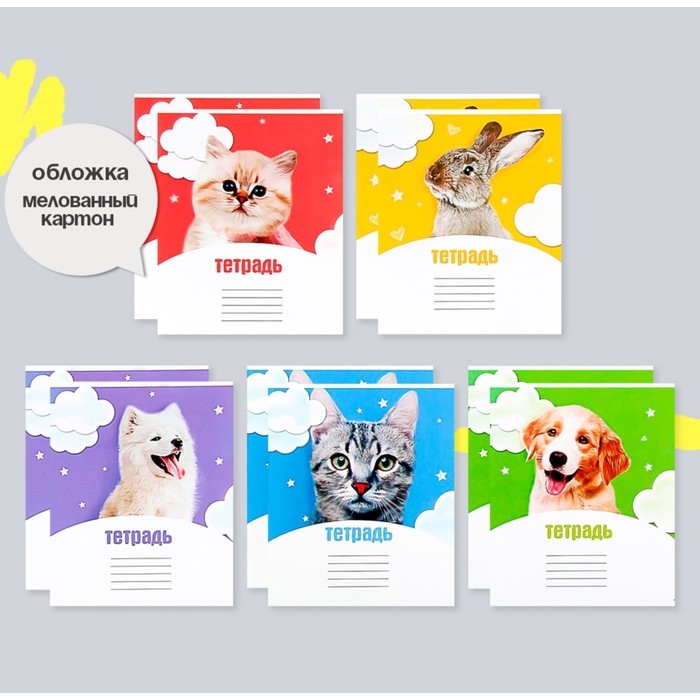 Комплект тетрадей из 10 штук, 12 листов в клетку Calligrata Комплект тетрадей из 10 штук, 12 листов в клетку Calligrata "Домашние животные", обложка мелованный картон, ВД-лак, блок офсет, 5 видов по 2 штуки