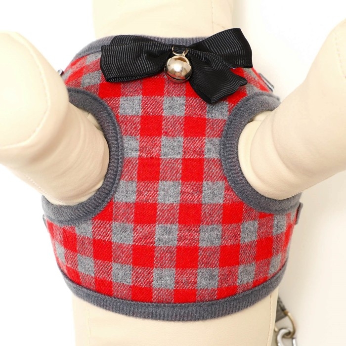 Комплект амуниции с мягкой шлейкой, S, поводок 120 х 1 см, ОШ 20-40 см, ОГ 30-44 см, красный 47310 Комплект амуниции с мягкой шлейкой, S, поводок 120 х 1 см, ОШ 20-40 см, ОГ 30-44 см, красный 47310