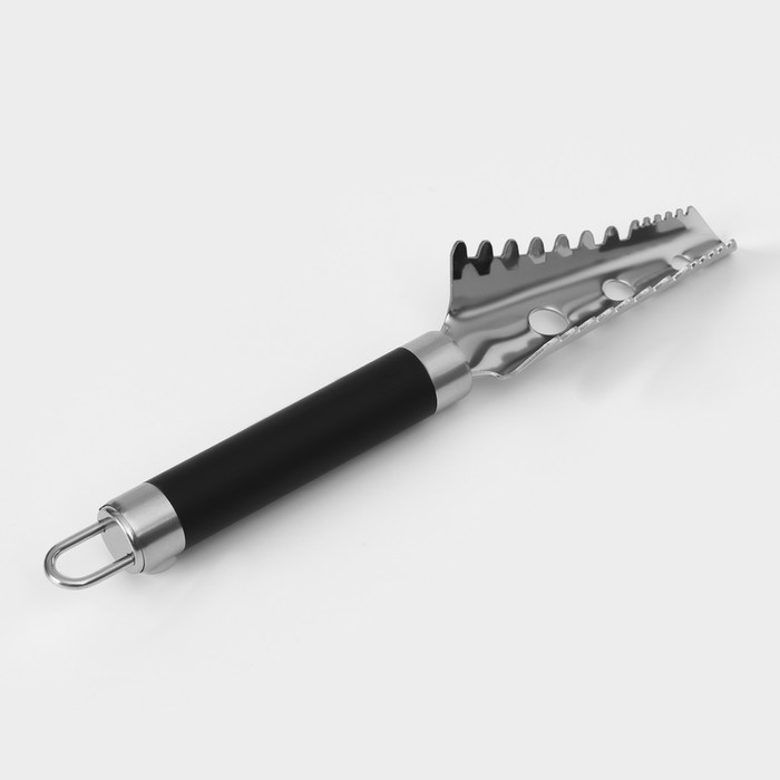 Рыбочистка Доляна Venus, 25 см, нержавеющая сталь, цвет чёрный Рыбочистка Доляна Venus, 25 см, нержавеющая сталь, цвет чёрный