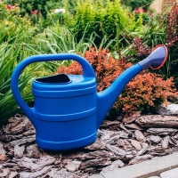 Лейка, 8 л, с рассеивателем, носик d = 35 мм, цвет МИКС Лейка, 8 л, с рассеивателем, носик d = 35 мм, цвет МИКС