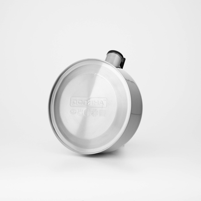 Чайник со свистком из нержавеющей стали Доляна «Чёрная ночь», 2 л, индукция, цвет хромированный Чайник со свистком из нержавеющей стали Доляна «Чёрная ночь», 2 л, индукция, цвет хромированный