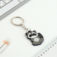 Брелок для ключей акриловый &laquo;Енот&raquo;, 7.2 х 14 см