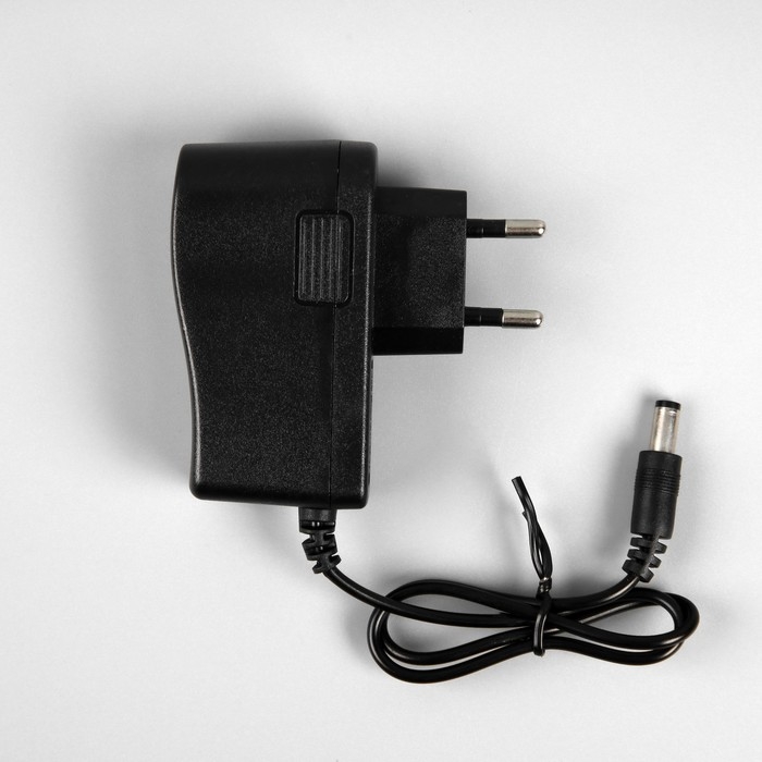 Гирлянда &laquo;Конский хвост&raquo; 20 нитей по 2 м, нить медная, 400 LED, 12 В, блок питания в комплекте, фиксинг, свечение белое