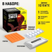 Набор для опытов &laquo;Фараонова змея&raquo;