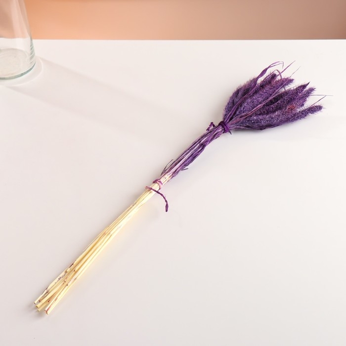 Набор сухоцветов "Сетария", банч 7 шт, длина 55-65 (+/- 6 см), фиолетовый